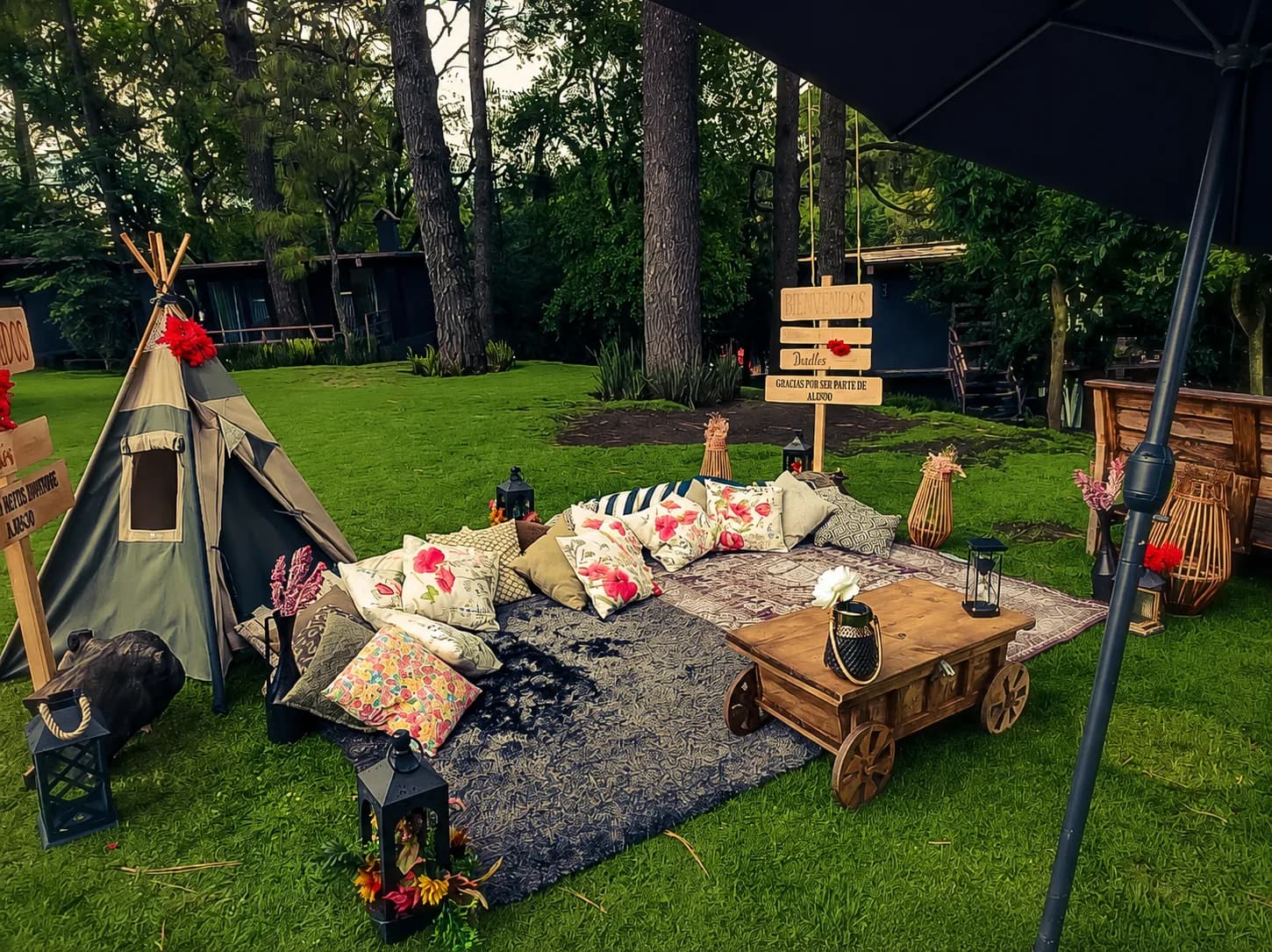 Picnic Gourmet en el Bosque