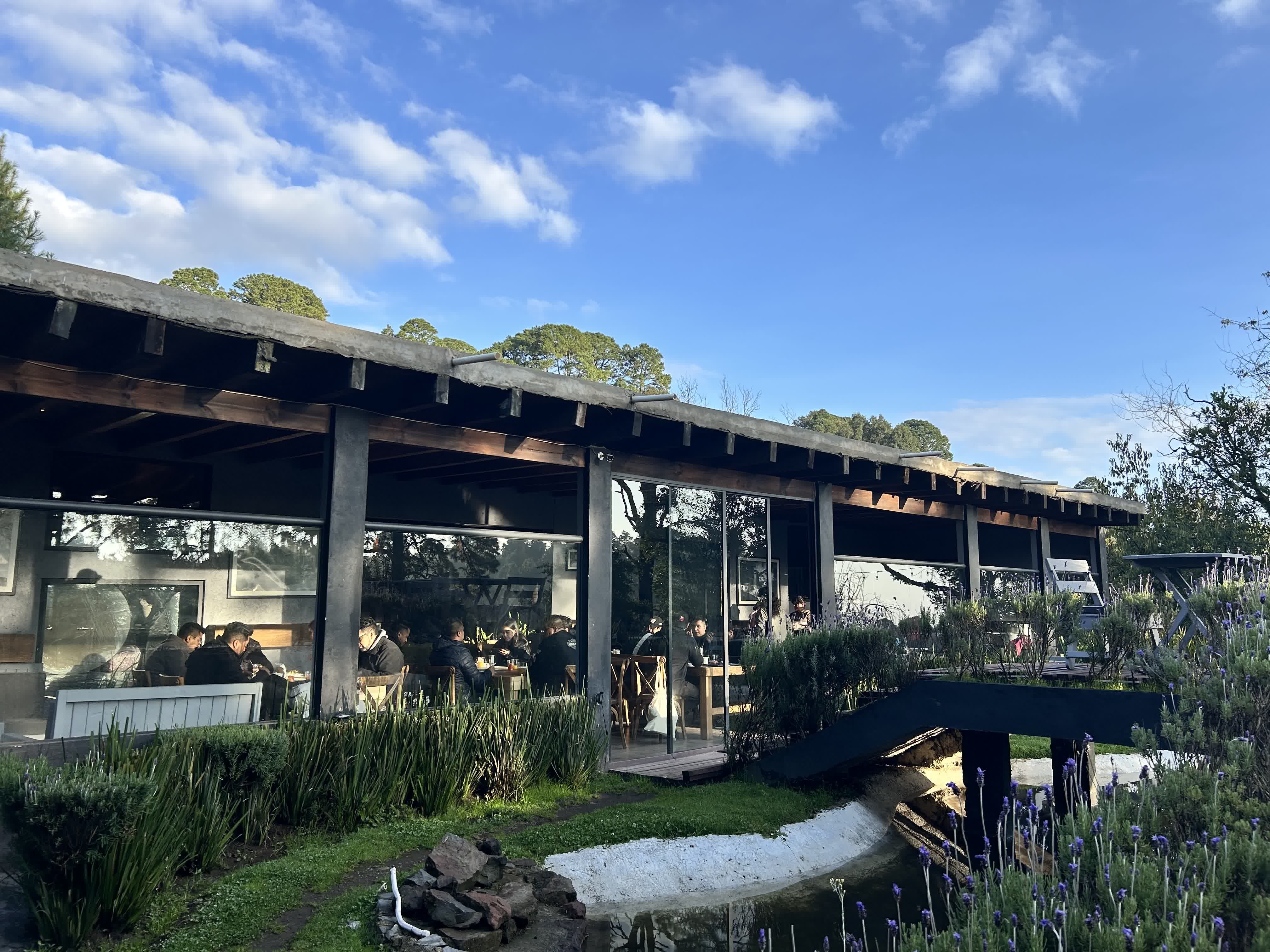 Orgánico Hotel Boutique Ajusco en el bosque