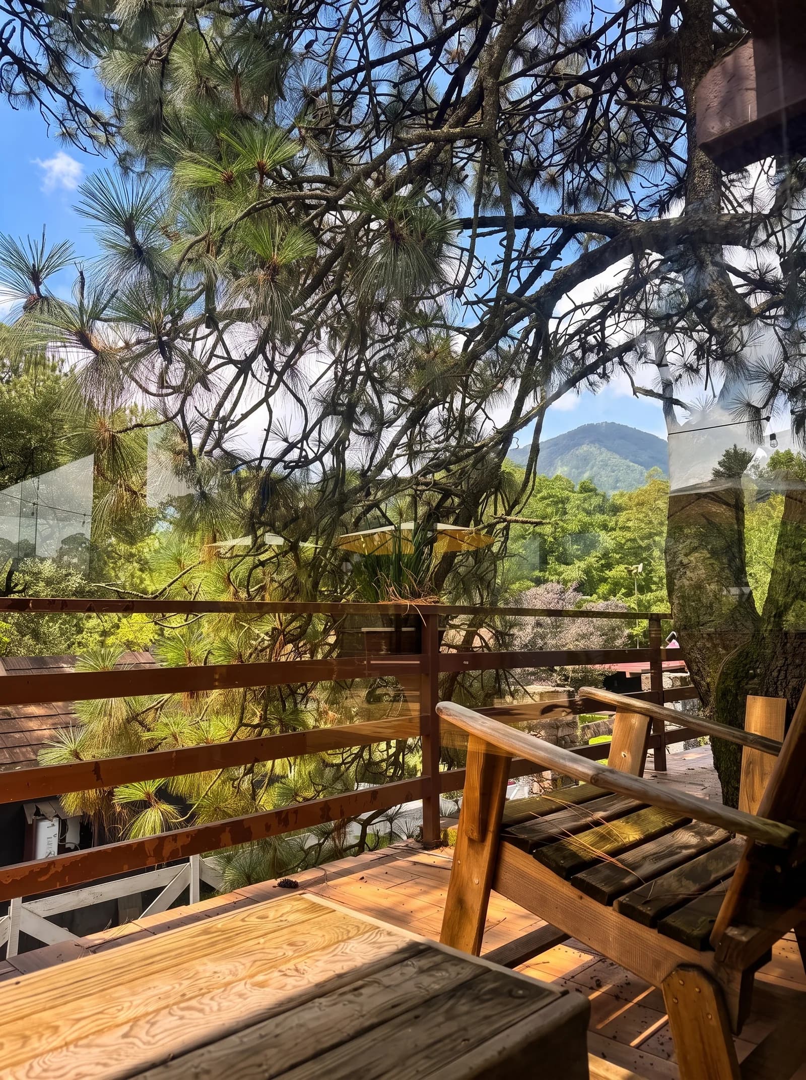 Comida al fuego con vista al bosque en Orgánico Ajusco