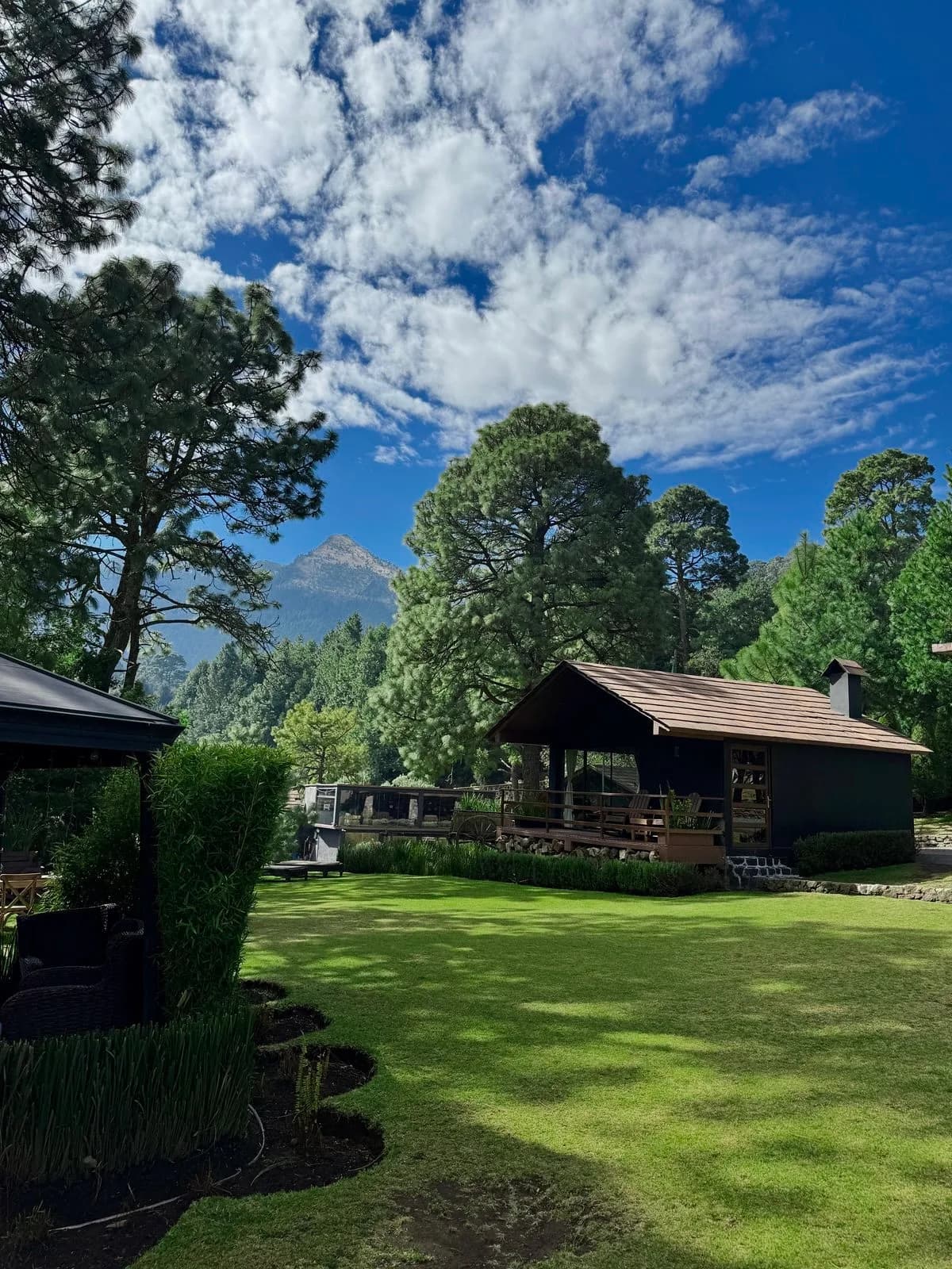 Refugio en el bosque Orgánico Ajusco